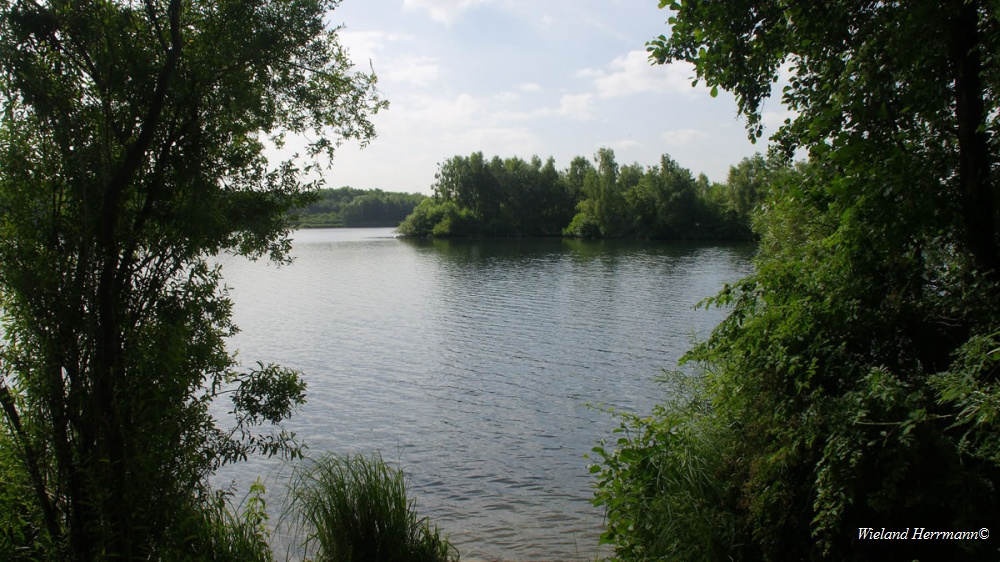 Heidesee_2