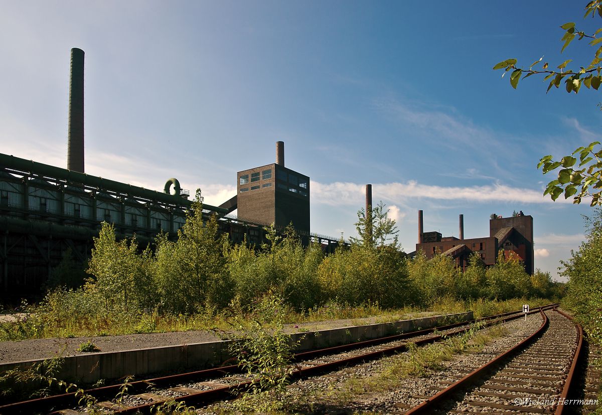 Kokerei Zollverein - August / 2014